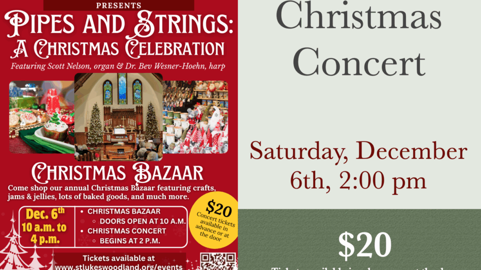 Christmas Concert flyer. Follow link for text representation of all included data.